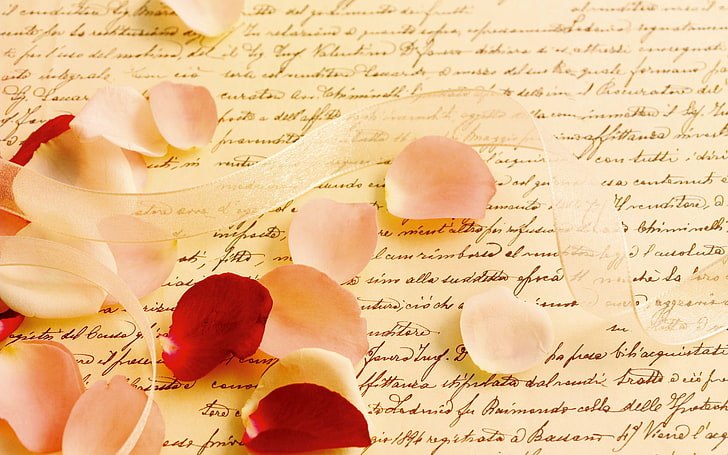 розови и червени розови венчелистчета, писмо, макро, роза, венчелистчета, лента, пергамент, писане, HD тапет
