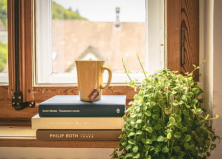 жълта керамична чаша, книга, чаша, чай, перваз на прозореца, прозорец, стайно растение, HD тапет HD wallpaper