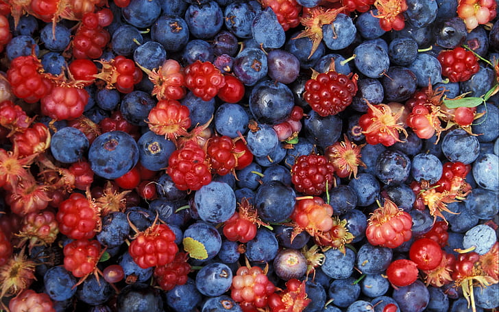 Alaska wild berries, blueberry and cherry lot, fruits, HD wallpaper