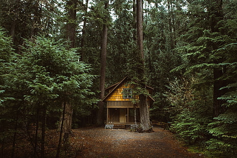 коричневый деревянный домик, лес, природа, домик, HD обои HD wallpaper