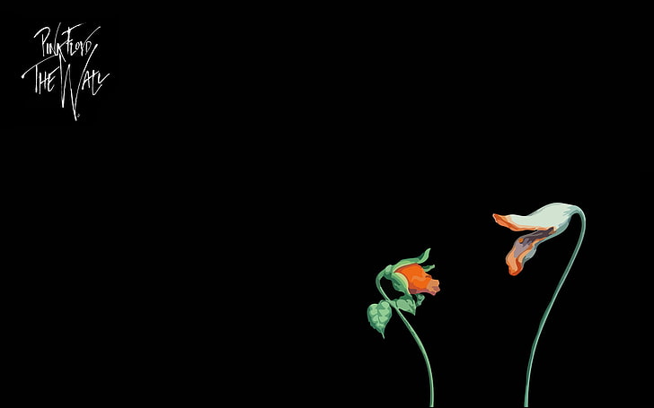 dwa pomarańczowe kwiaty z nałożonym tekstem, muzyka, minimalizm, Pink Floyd, film, The Wall, Elclon, kwiaty, Empty Spaces, Tapety HD