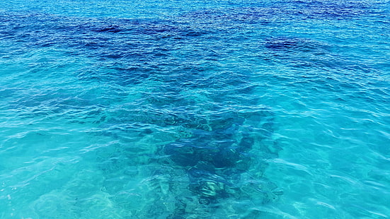 fond, bleu, caraïbes, clair, profond, plongée, méditerranée, océan, mer, turquoise, eau, vague, Fond d'écran HD HD wallpaper