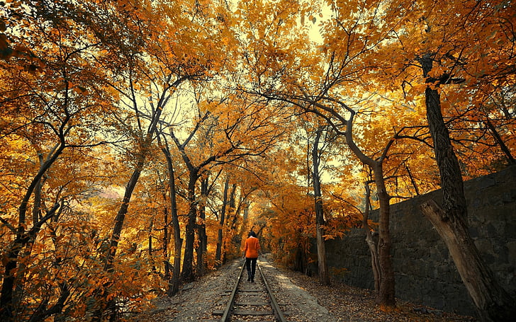 autunno, caduta, ferrovia, albero, donna, Sfondo HD