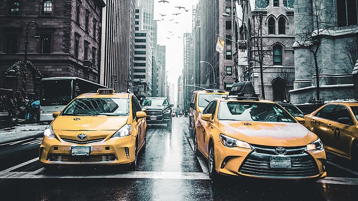Andre Benz, taxi, yellow cab, street, New York City, birds, HD wallpaper