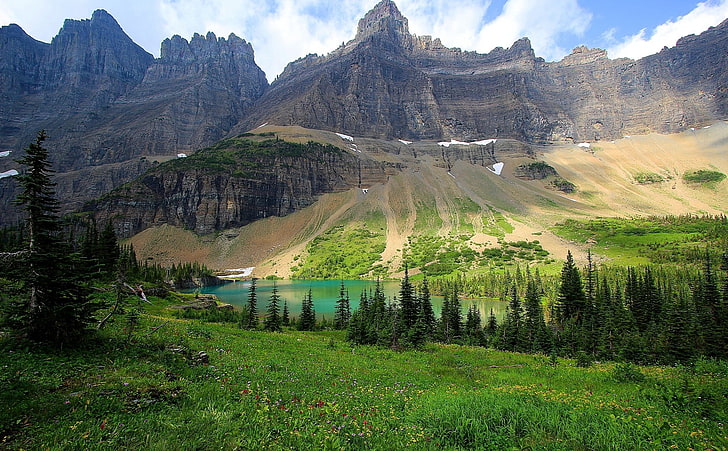 зелени дървета, природа, пейзаж, фотография, планини, езеро, гора, трева, борови дървета, лято, Национален парк Glacier, Монтана, HD тапет