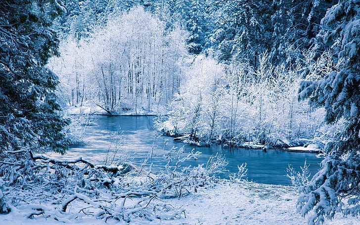 Зимний пейзаж природы, белый снег, деревья, река, зима, природа, декорации, белый, снег, деревья, река, HD обои
