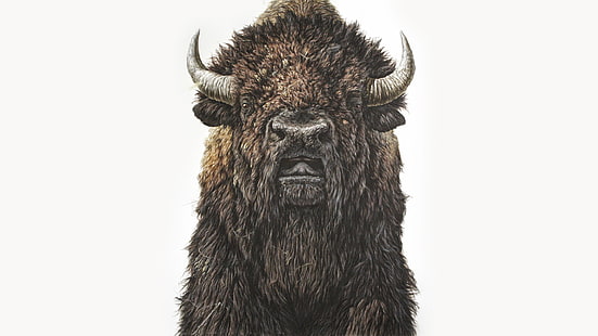 żubr, George Boorujy, bawół, ilustracja, zwierzęta, malarstwo, realistyczny, Tapety HD HD wallpaper