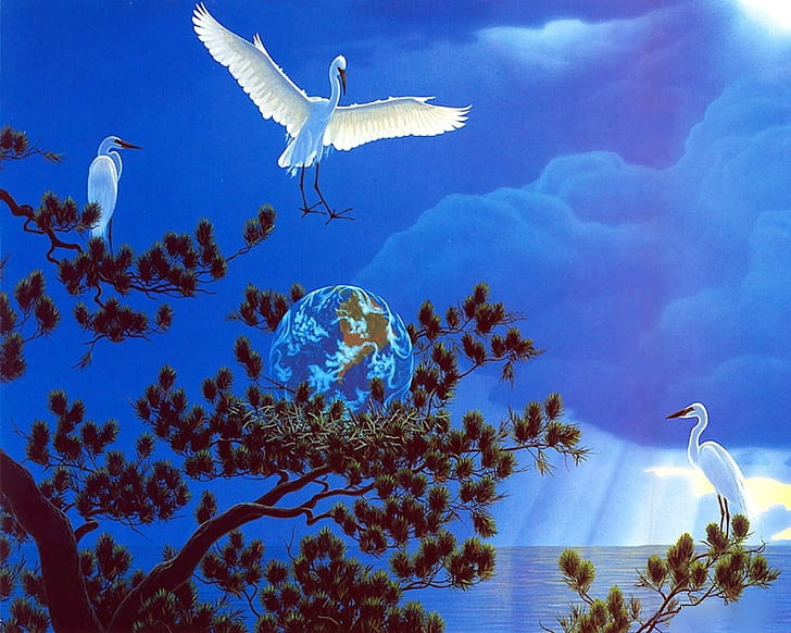 libertà animale Uccello volare cielo HD, animali, animali, cielo, uccello, uccelli, volare, Sfondo HD