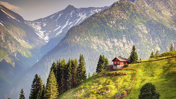 casa de madera roja y blanca, naturaleza, paisaje, árboles, bosque, casa, montañas, colinas, campo, hierba, pico nevado, Suiza, pinos, valle, valla, nubes, Fondo de pantalla HD