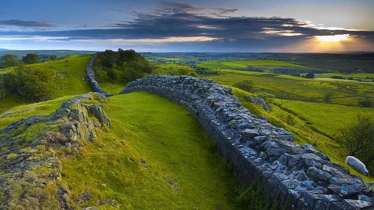gray concrete fence, nature, landscape, England, UK, hills, sky, clouds, trees, stones, Hadrian's Wall, Roman, history, grass, field, animals, sheep, Sun, sunlight, HD wallpaper