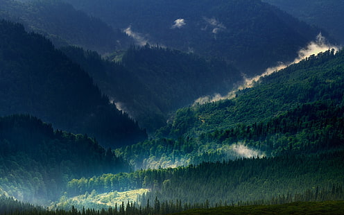 paysage de montagne, paysage, nature, Carpates, montagnes, brume, forêt, printemps, vert, arbres, Fond d'écran HD HD wallpaper