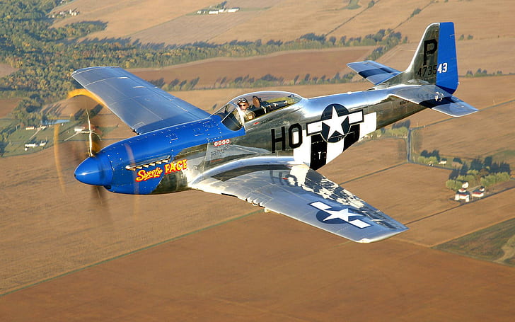 P51 Classic Airplane, vintage aircraft, classic, airplane, aircraft, HD wallpaper
