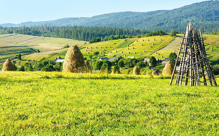 Farm field, hay, trees, mountains, houses, Ukraine, Carpathians, green grass field, Farm, Field, Hay, Trees, Mountains, Houses, Ukraine, Carpathians, HD wallpaper