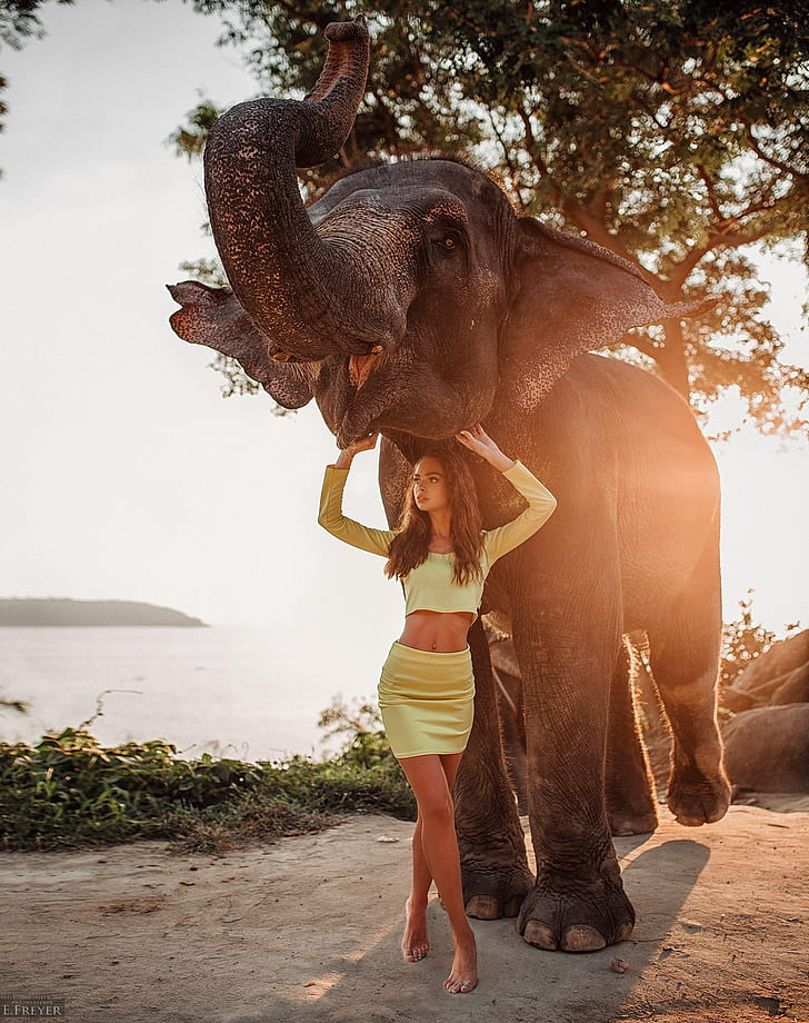 słoń, Evgeny Freyer, zwierzęta, kobiety, modelka, żółta odzież, Tapety HD, tapety na telefon