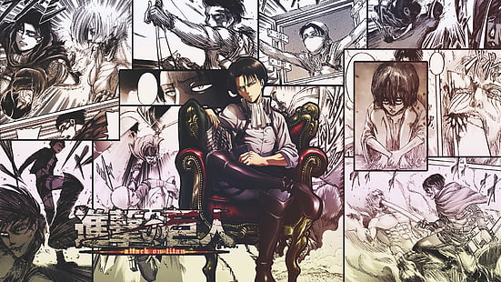 Anime, Attack On Titan, Levi Ackerman, Wallpaper HD HD wallpaper
