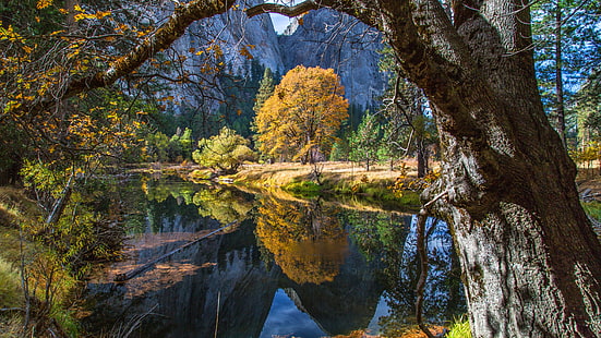 yosemite national park, national park, california, united states, tree, autumn, autumn landscape, merced river, river, yosemite valley, HD wallpaper HD wallpaper