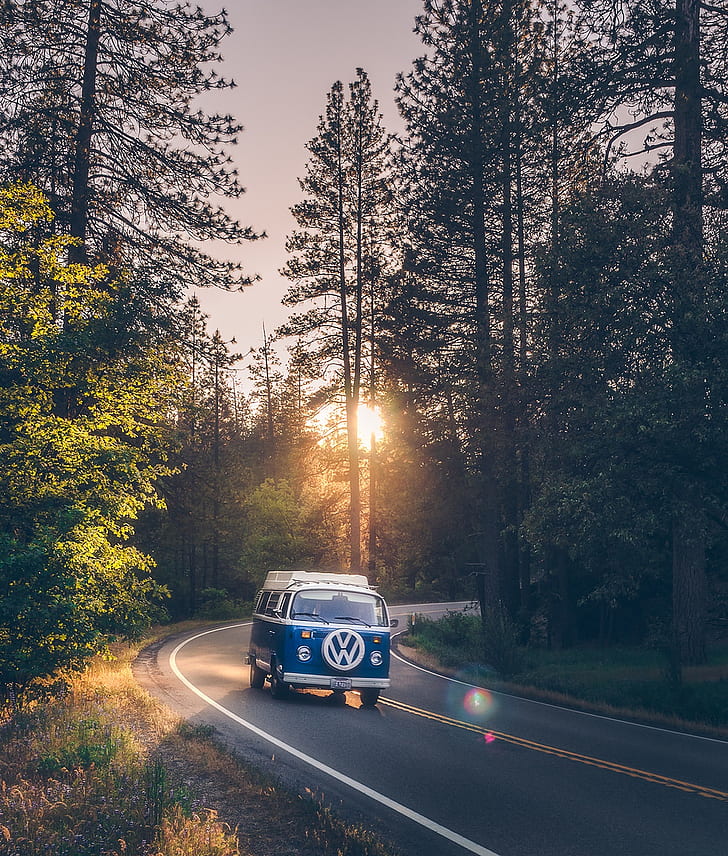 photography, vw bus, forest, road, Yosemite National Park, portrait display, Volkswagen, HD wallpaper