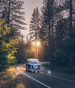 fotografia, ônibus vw, floresta, estrada, Parque Nacional de Yosemite, exibição de retrato, Volkswagen, HD papel de parede HD wallpaper
