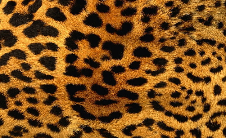 Pelliccia di ghepardo, tessuto stampa leopardo marrone e nero, Aero, motivi, ghepardo, selvaggio, pelliccia, trama, pelliccia di ghepardo, Sfondo HD