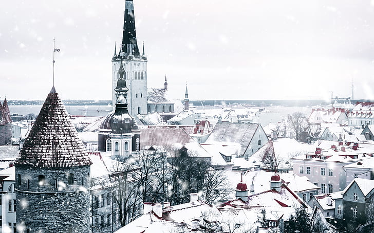 ciudad, blanco, invierno, nieve, Tallin, Estonia, arquitectura, nevadas, hito, fondo 4k ultra hd, Fondo de pantalla HD