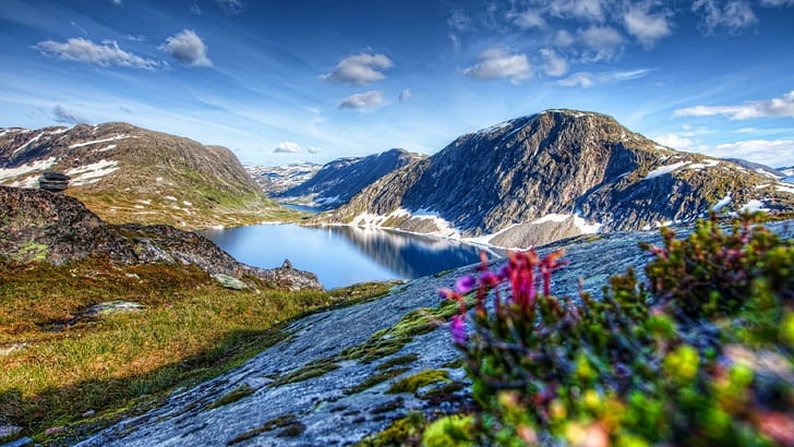 المناظر الطبيعية جبال العشب وزهور الربيع للجدران HD 3840 × 2160 HD ورق الجدران، خلفية HD