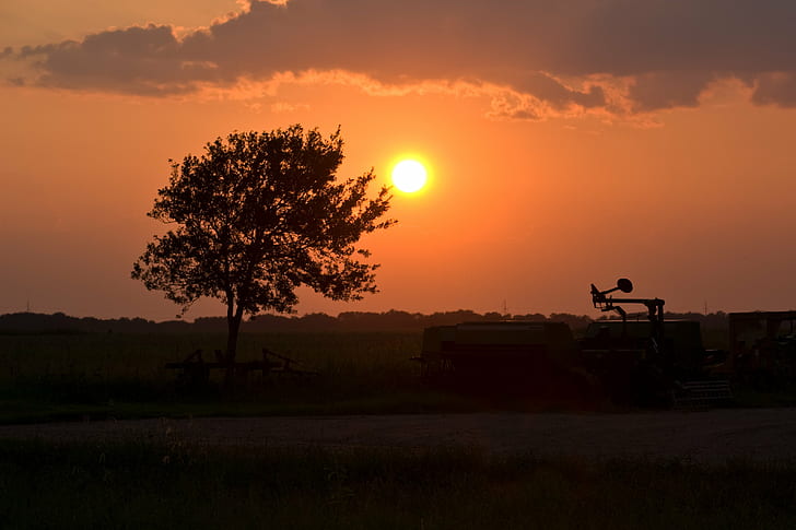 Sunset over the horizon, texas, texas, Nada, Texas, Sunset, over the horizon, nada  texas, farm, tree, outdoors, k10d, silhouette, orange, sun, clouds, prairie, nature, sunrise - Dawn, HD wallpaper
