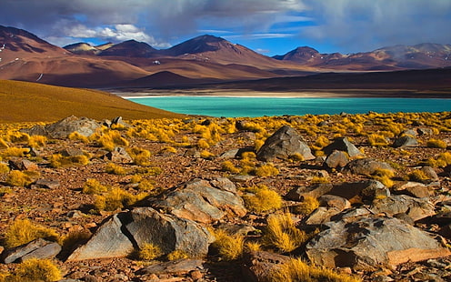 Пустыня Атакама, Чили, озеро, пейзаж, горы, природа, фотография, кустарники, HD обои HD wallpaper