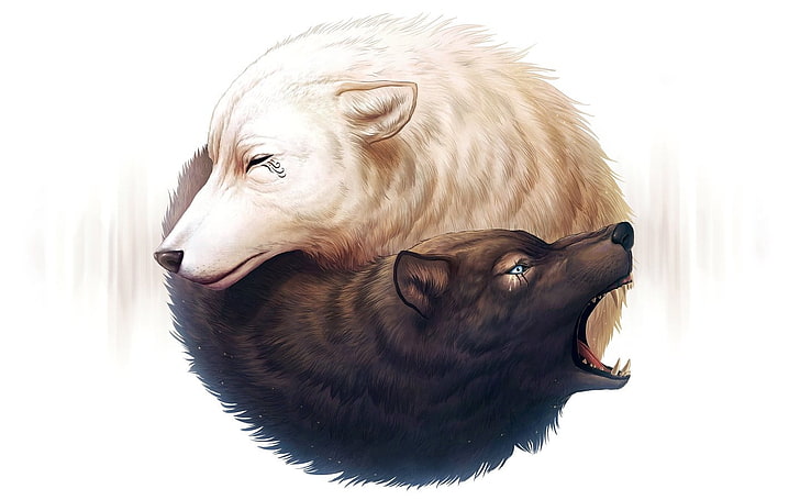 흰색과 검은 늑대 그림, 흰 머리카락, 검은 머리, 간단한 배경, 흰색 배경, 늑대, 음과 양, HD 배경 화면