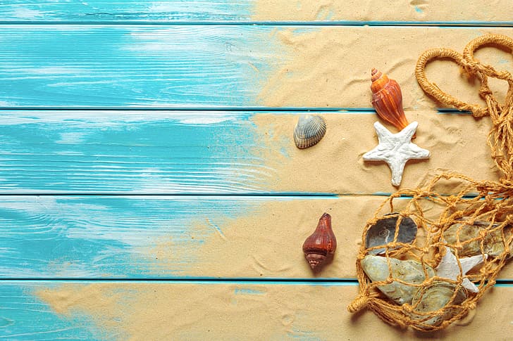 sand, beach, shell, wood, marine, still life, starfish, seashells, HD wallpaper