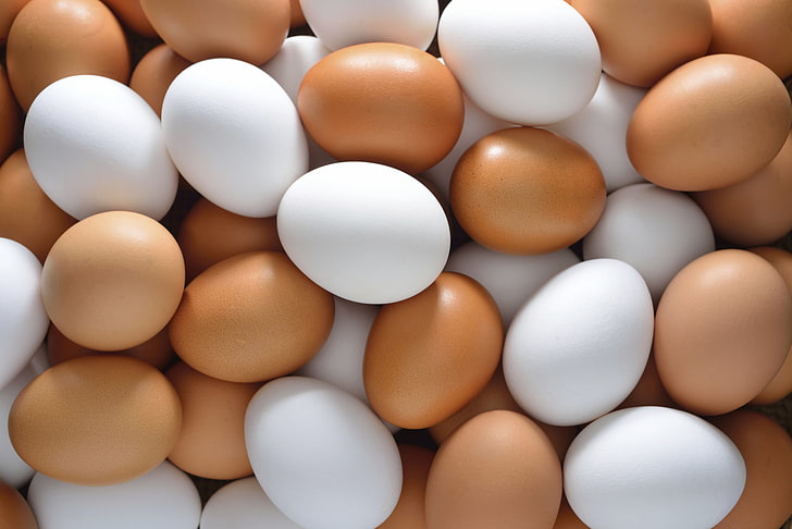Farben, Eier, Huhn, HD-Hintergrundbild
