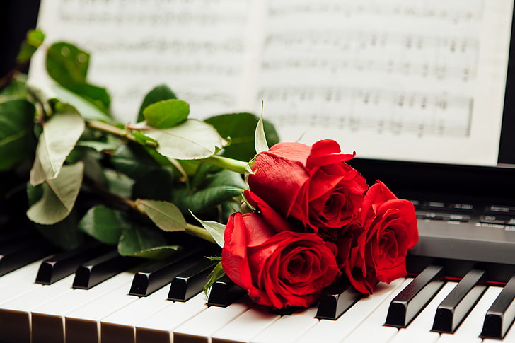 3つの赤いバラの花、ノート、バラ、キー、赤、ピアノ、 HDデスクトップの壁紙