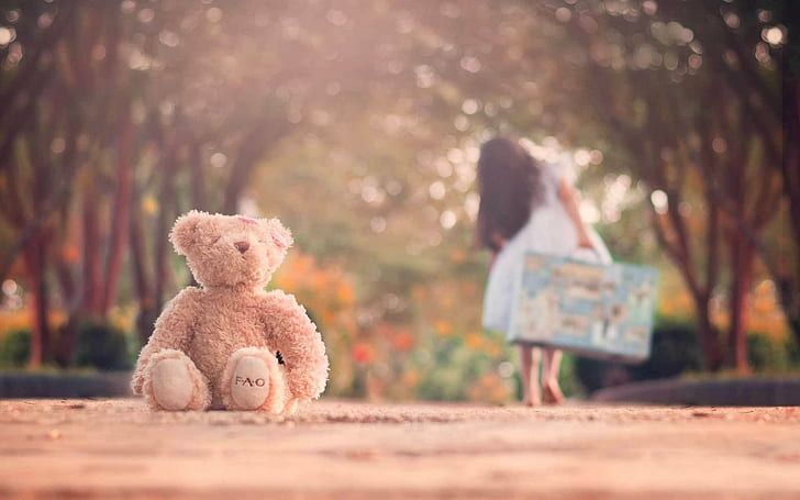 Teddy Bear Left Alone On Road, brown bear plush toy, cute, baby, teddy, bear, road, alone, HD wallpaper