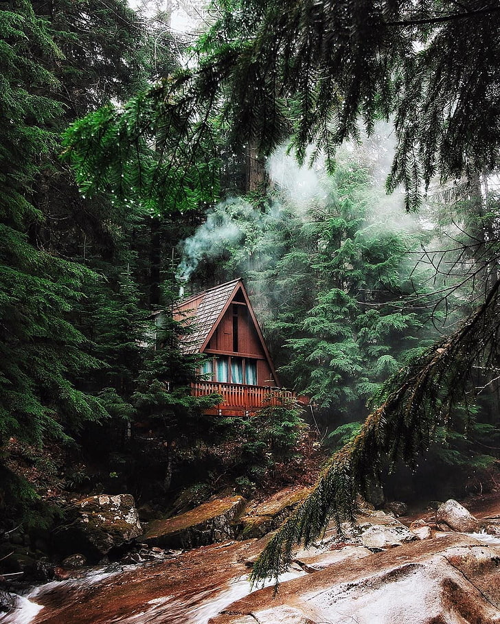 casa di legno marrone, foresta, fiume, paesaggio, Sfondo HD, sfondo telefono