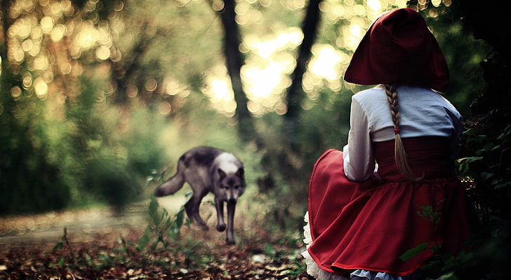 girl's red and white dress, wolf, Little Red Riding Hood, bokeh, braids, HD wallpaper