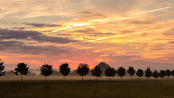 Sunset Over Row Of Trees, fields, trees, clouds, sunset, nature and landscapes, HD wallpaper