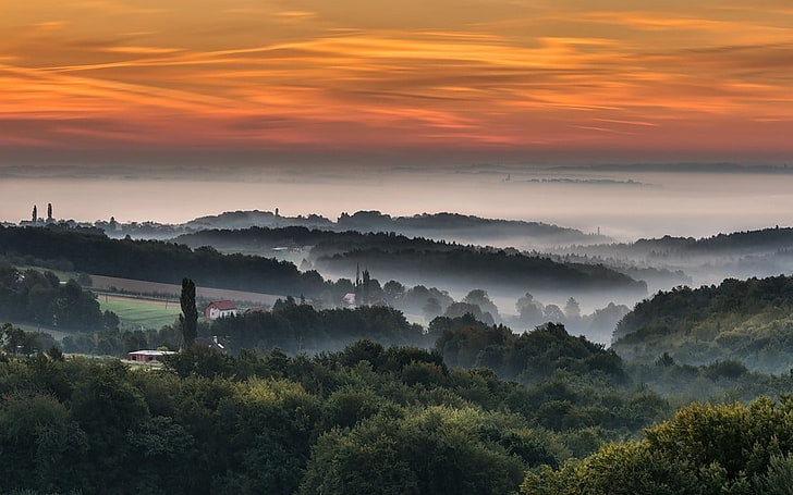 木と茶色の雲、自然、風景、霧、森、村、丘、雲、スロベニア、空の下で山の空中写真、 HDデスクトップの壁紙
