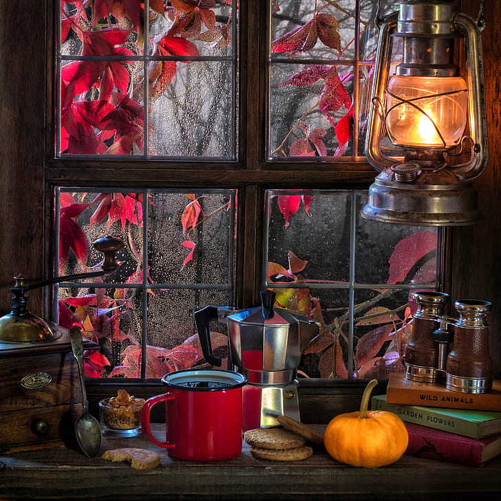 autumn, style, rain, books, coffee, cookies, window, mug, lantern, binoculars, pumpkin, still life, coffee grinder, HD wallpaper