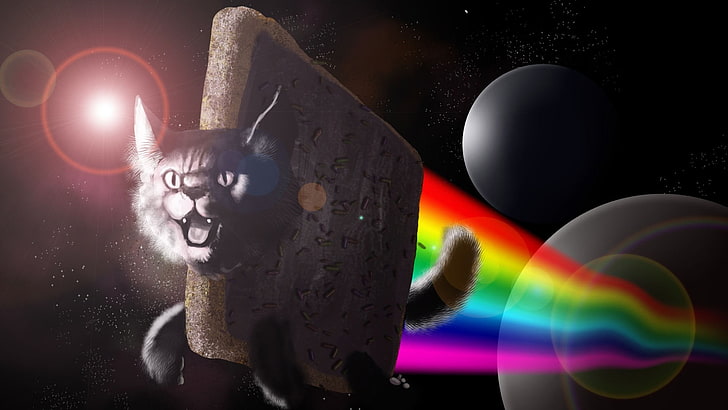 Nyan Cat, Nyan Cat, sztuka cyfrowa, sztuka kosmiczna, kot, zwierzęta, kolorowe, humor, LSD, tęcze, Tapety HD