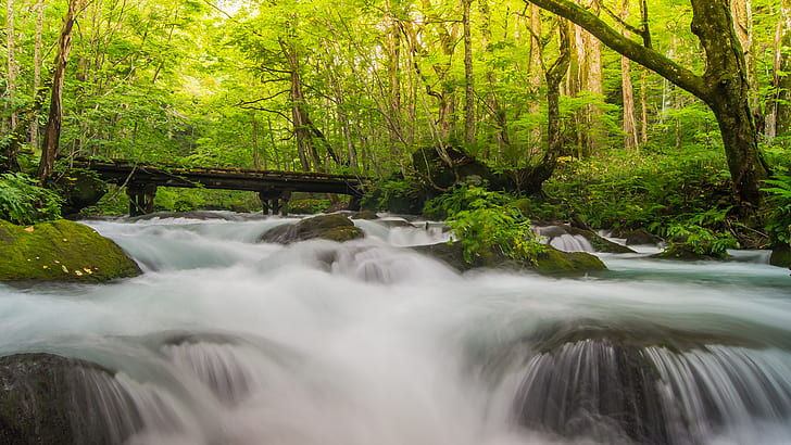 River Trees Green Forest HD, waterfall photo, nature, trees, green, forest, river, HD wallpaper