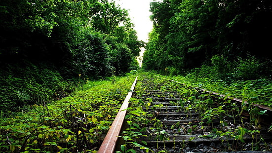 железная дорога, трек, зеленый, природа, путь, железная дорога, лист, лес, дерево, трава, рельс, поезд, лесистая местность, HD обои HD wallpaper
