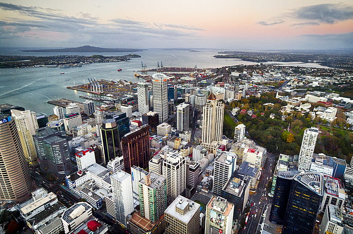 Окланд, Нова Зеландия, високи сгради, панорама, къщи, Нова Зеландия, улици, Окланд, залив, квартал, HD тапет
