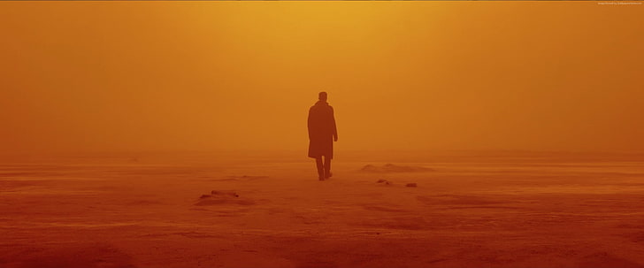 Ryan Gosling, Blade Runner 2049, best movies, HD wallpaper