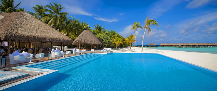 palmera verde, ultra ancha, piscina, palmeras, mar, Fondo de pantalla HD