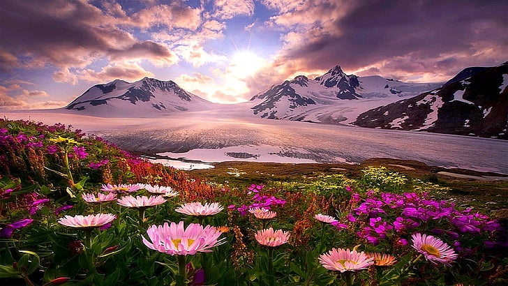 glaciär, blomma, himmel, vild blomma, berg, bergskedja, bergslandskap, morgon, växt, landskap, äng, reflektion, solljus, vår, gryning, alaska, HD tapet