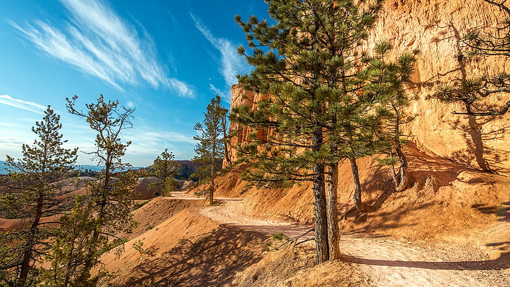 Bryce Canyon National Park, ธรรมชาติ, ภูมิทัศน์, ทะเลทราย, ต้นไม้, วอลล์เปเปอร์ HD