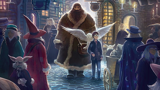 Harry Potter Owl Drawing Witch HD, fantasy, rysunek, sowa, czarownica, harry, potter, Tapety HD HD wallpaper