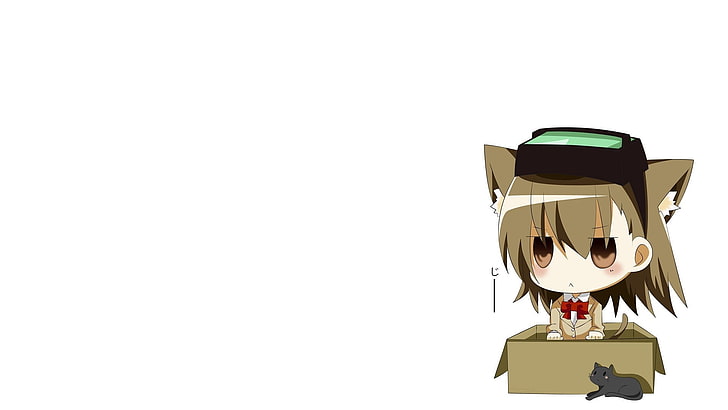 personagem de raposa feminina, a igreja de biribiri, misaka imouto, menina, caixa, gato, HD papel de parede