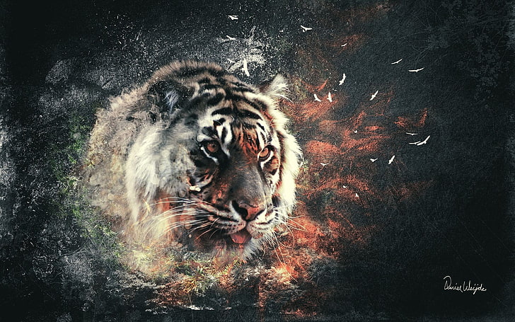 Живопись сибирского тигра, тигр, цифровое искусство, абстракция, животные, HD обои