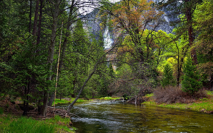 flod omgiven av gröna växter och tress, Yosemite National Park, Yosemite National Park, Yosemite Creek, Yosemite National Park, River, gröna växter, Tress, Capture, NX2, Redigerad, Färg, Pro, Creek, Day, Falls, Paso Robles, Upper , Yosemite Fall, Vattenfall, Yosemite Falls, Yosemite Valley, CA, USA, natur, skog, träd, ström, vatten, landskap, utomhus, scenics, blad, HD tapet