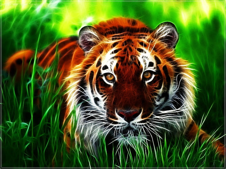 pintura de tigre, gatos, tigre, HD papel de parede